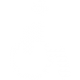 disabili
